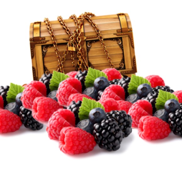 berry_treasure